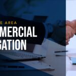 COMMERCIAL-LITIGATION